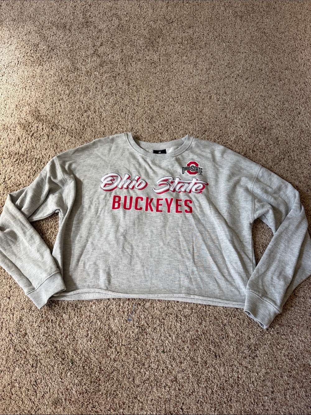 Champion Gray Ohio State Buckeyes cropped Crewneck Sweatshirt with Red Lettering